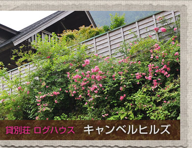奥多摩近く、東京のオアシス“檜原村”　貸別荘（ログハウス）キャンベルヒルズ